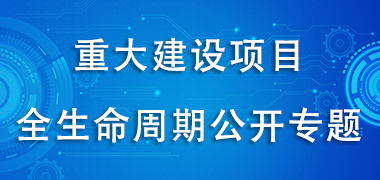 重大建設項目全生命周期公開專題